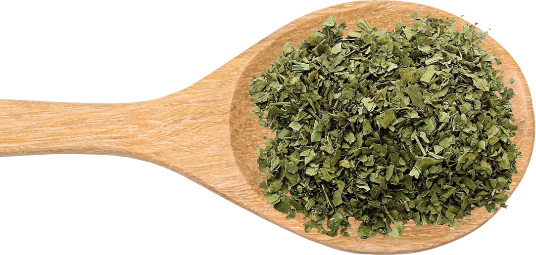 Dried organic gymnema sylvestre leaves for herbal tea and supplements from Vietnam