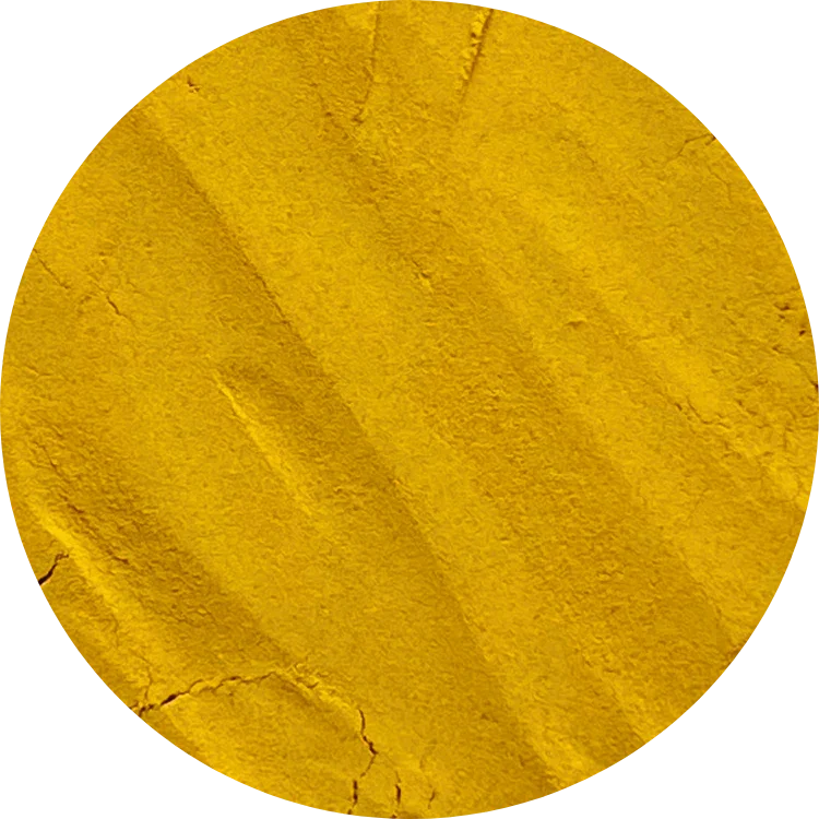 A round mound of organic turmeric powder showing its deep yellow pigment and high curcumin content