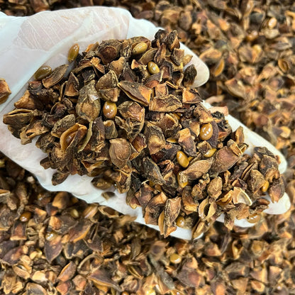 Broken pieces of organic star anise, showing dried brown seed pods and natural texture
