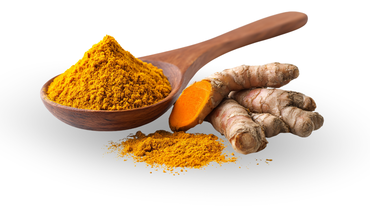 Pure organic red turmeric powder in a wooden spoon next to fresh turmeric roots from Vietnam
