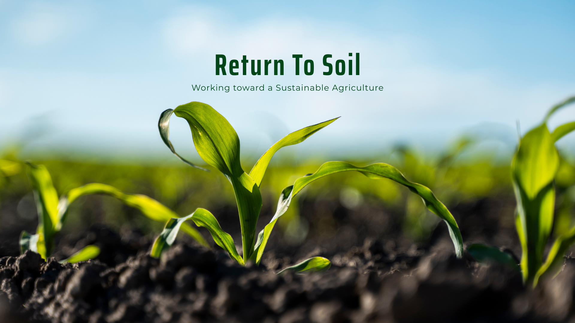Viet Haus - Return To Soil - WOrking toward a sustainable agriculture